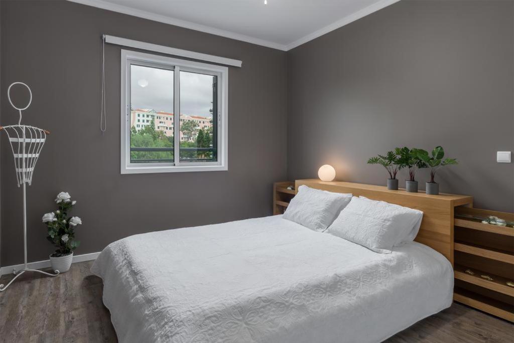Flh Funchal Nature Flat With Balcony Exterior foto